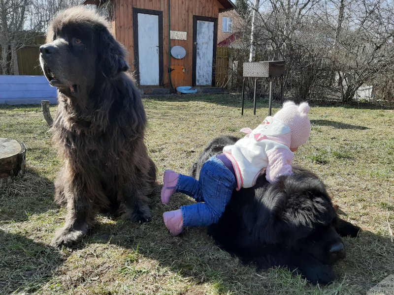 Фотография № 246712