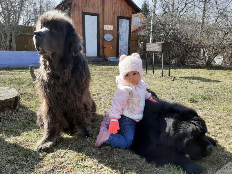 Фотография № 246713