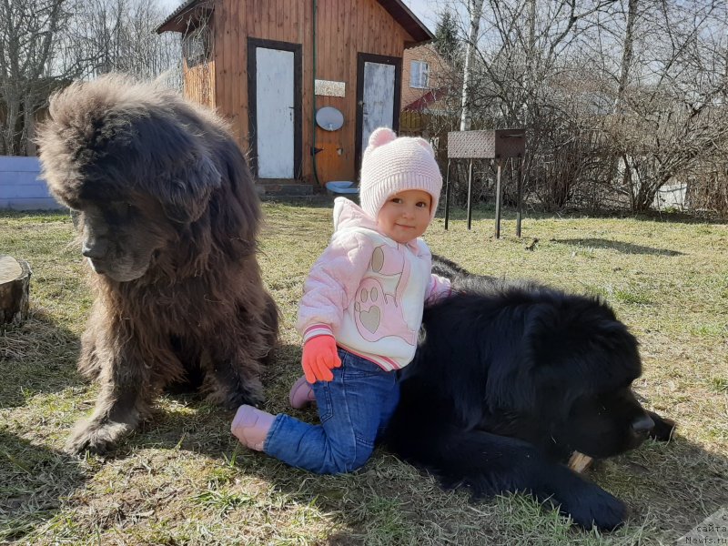 Фотография № 246714