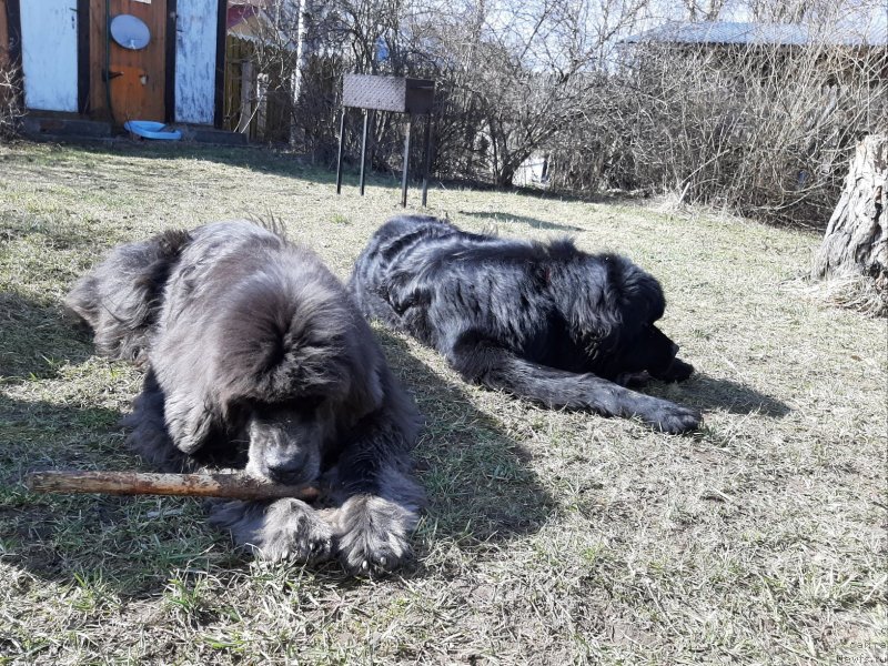 Фотография № 246715