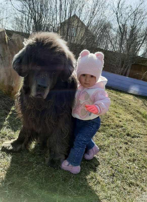 Фотография № 246716