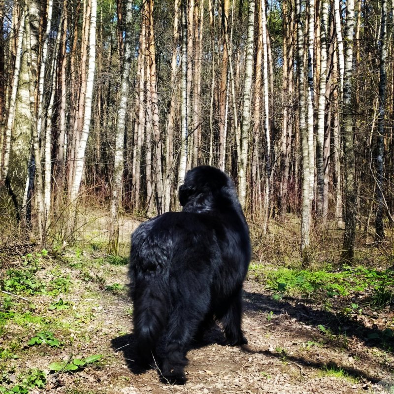 Фотография № 246718