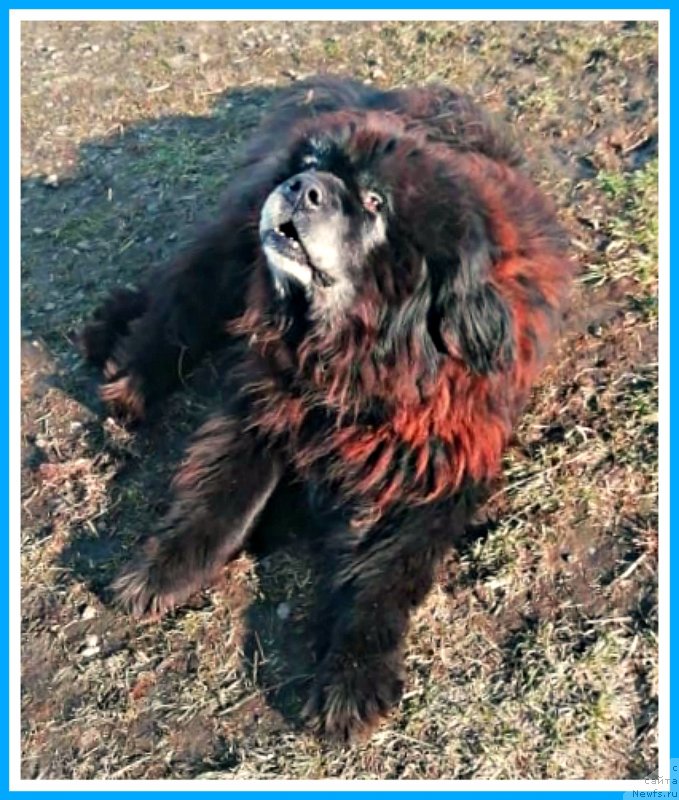 Фото: Миша(Жорик-Лютик)