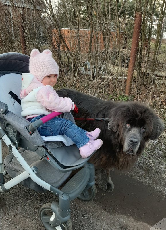 Фотография № 246721