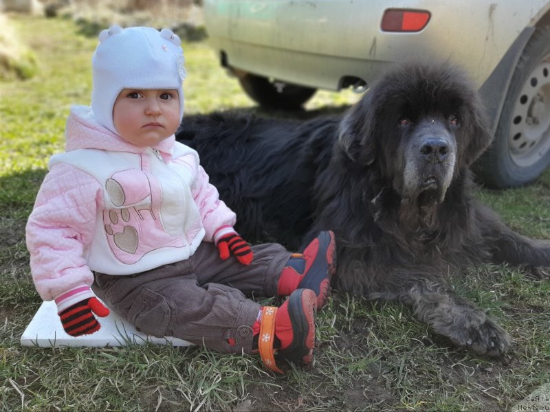 Фотография № 246722