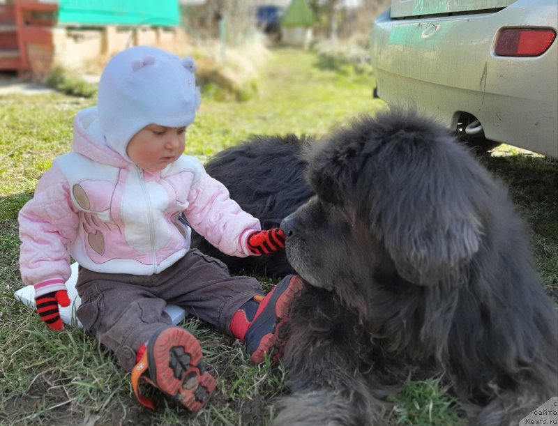 Фотография № 246723