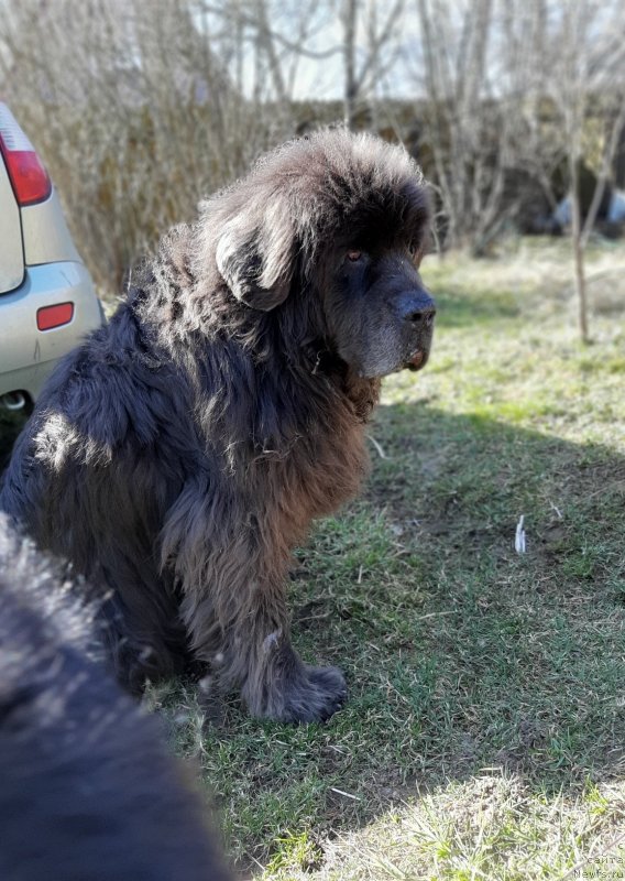 Фотография № 246724