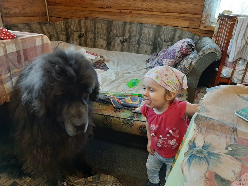 Фотография № 246734