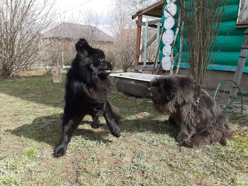 Фотография № 246747