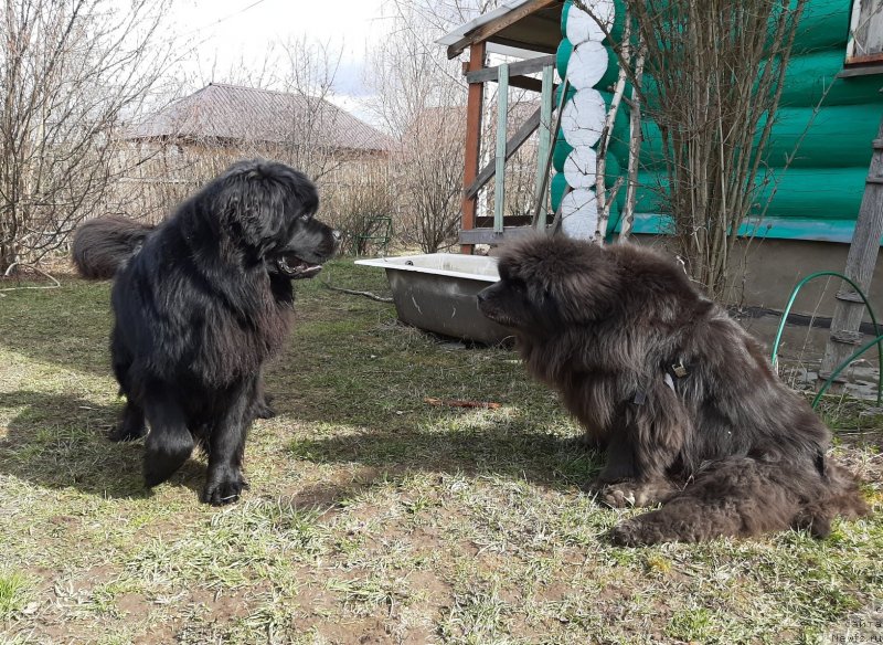 Фотография № 246749