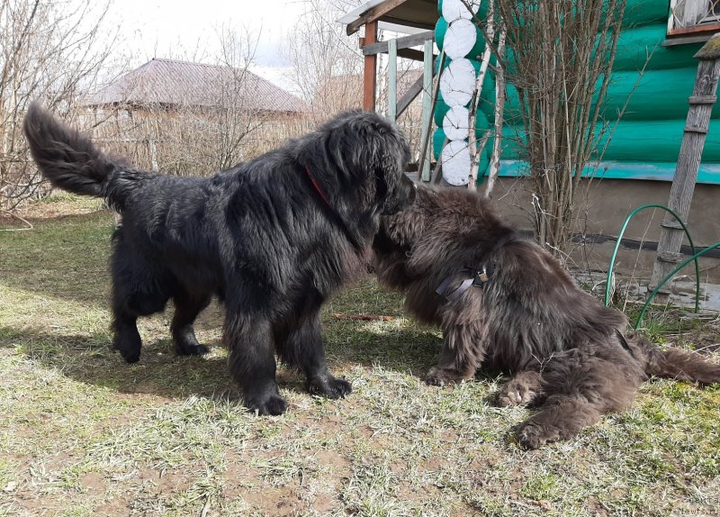 Фотография № 246750