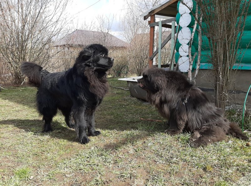 Фотография № 246752