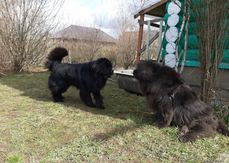 Фотография № 246753