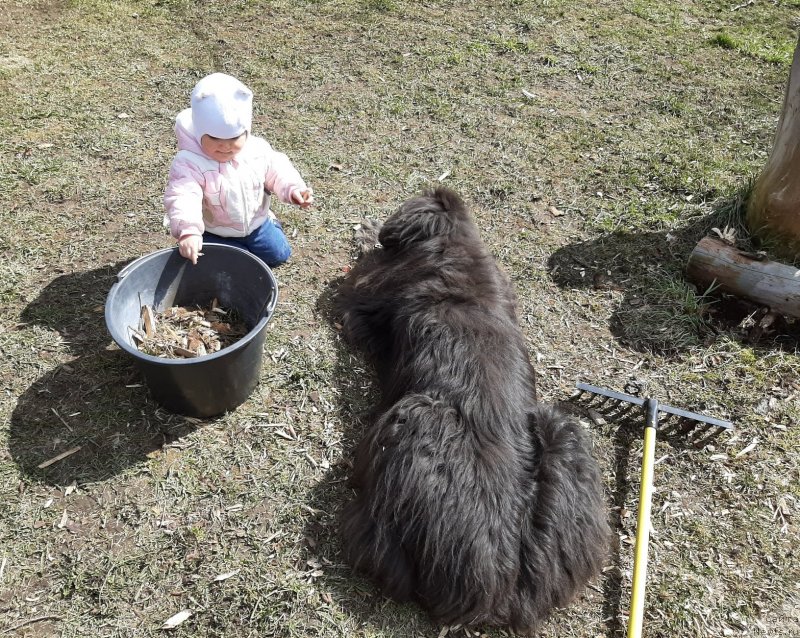 Фотография № 246761