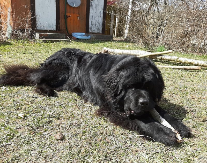 Фотография № 246762