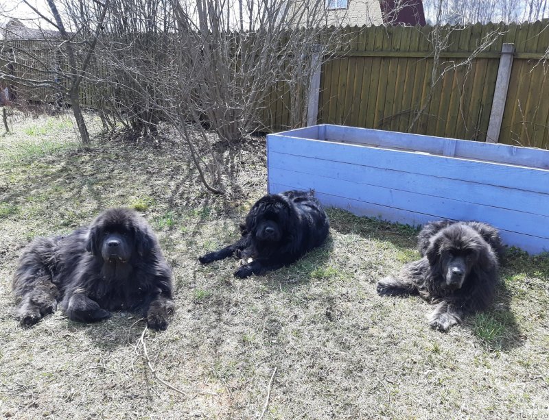 Фотография № 246764