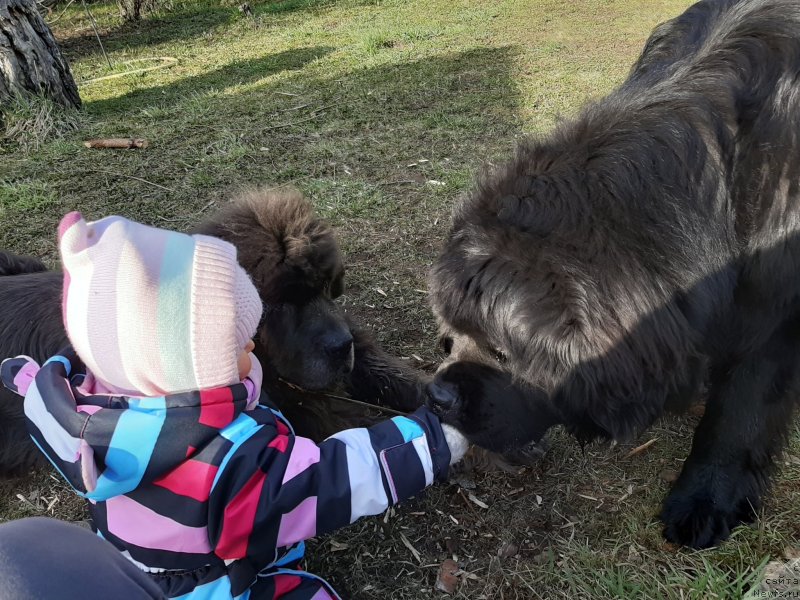 Фотография № 246765