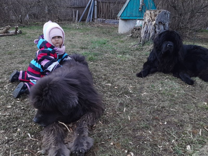 Фотография № 246766