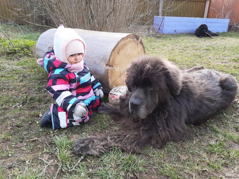 Фотография № 246767