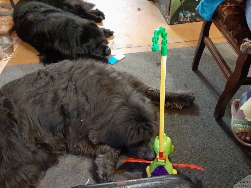 Фотография № 246790