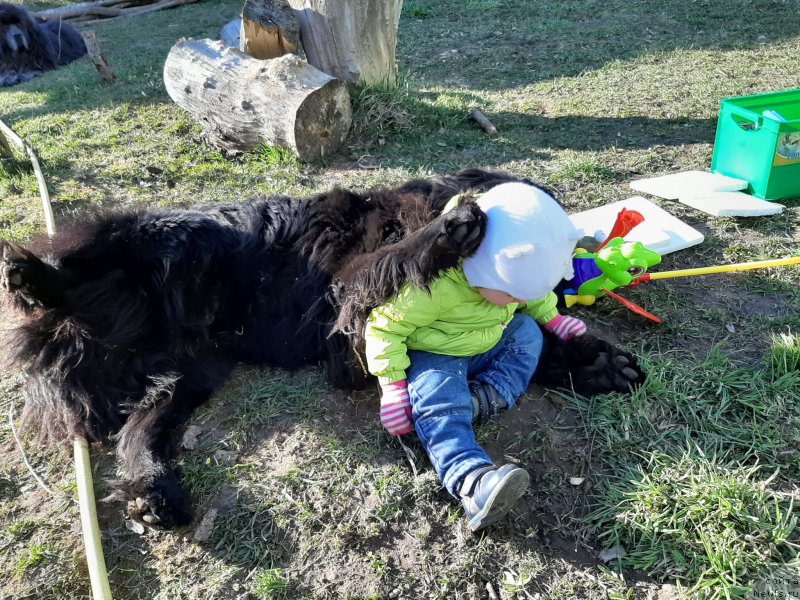 Фотография № 246791