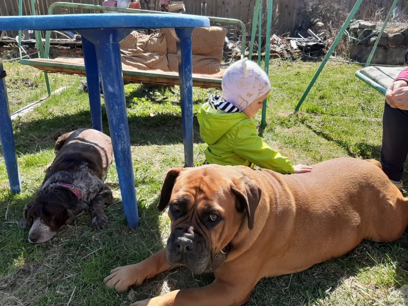 Фото: Чара, Мотя