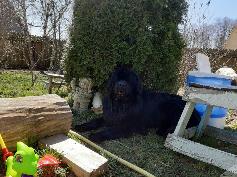 Фотография № 246795