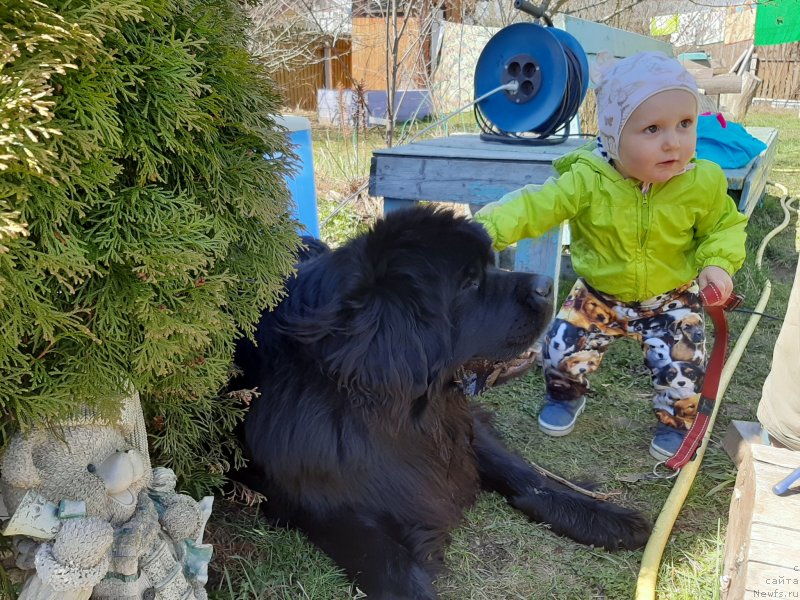 Фотография № 246796