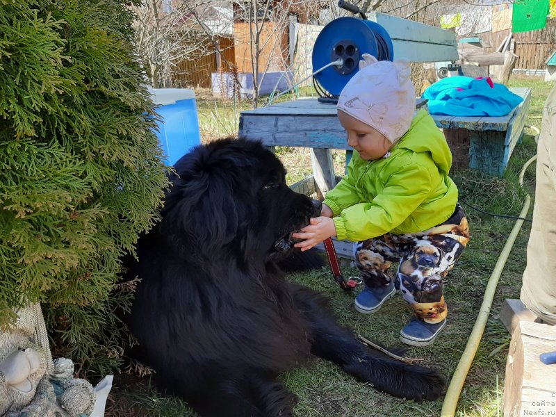 Фотография № 246797