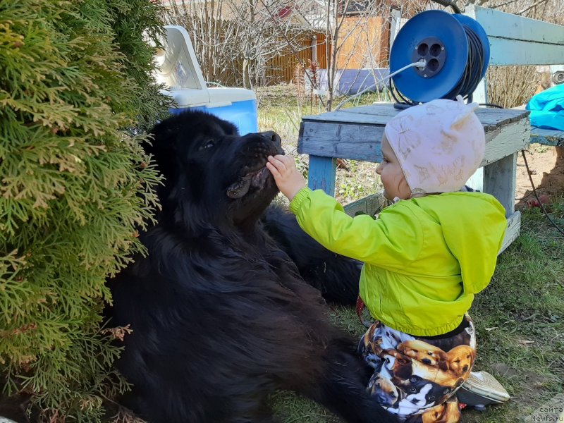 Фотография № 246798