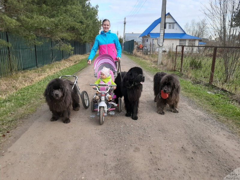 Фотография № 246800