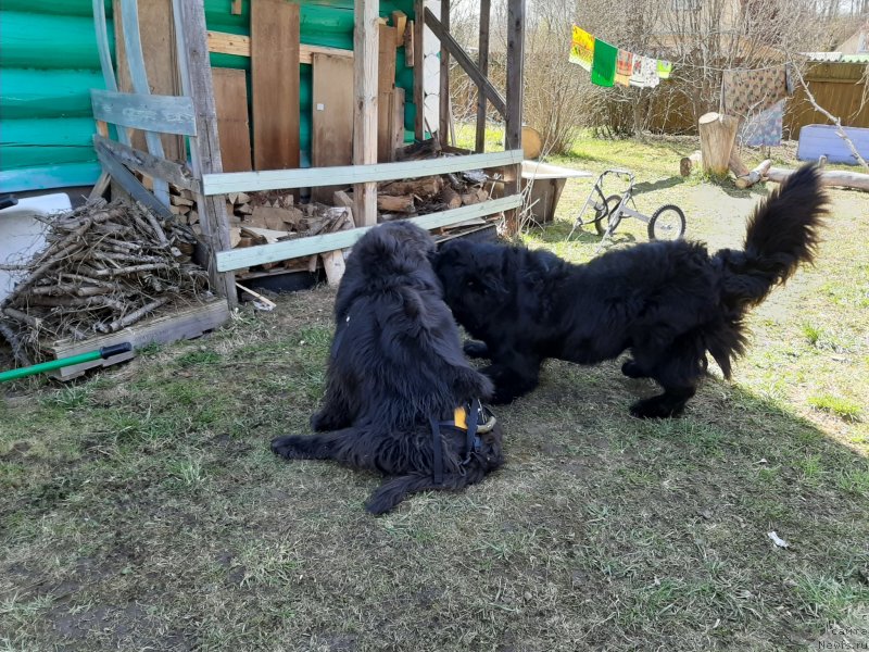 Фотография № 246804