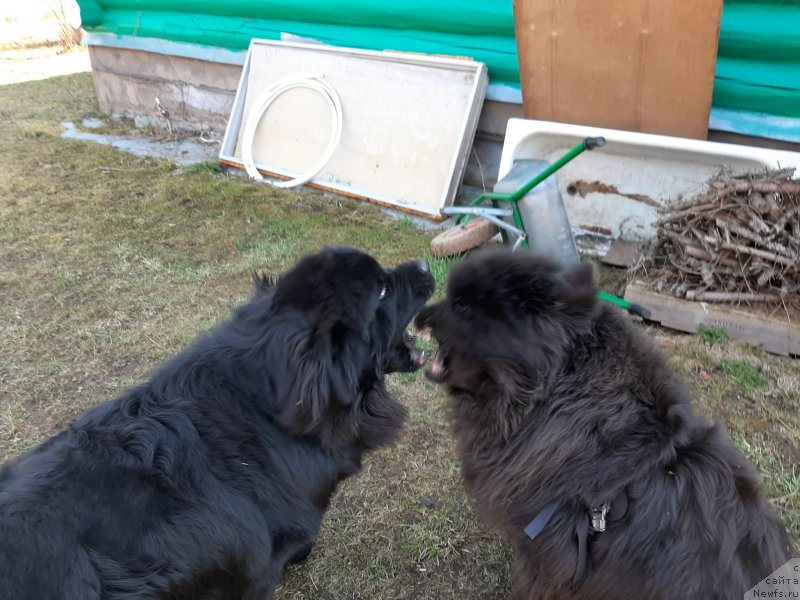 Фотография № 246805