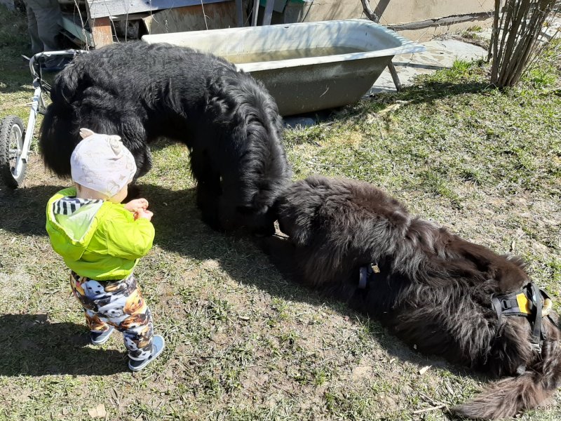 Фотография № 246809