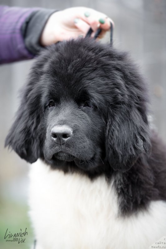 Фотография № 246813