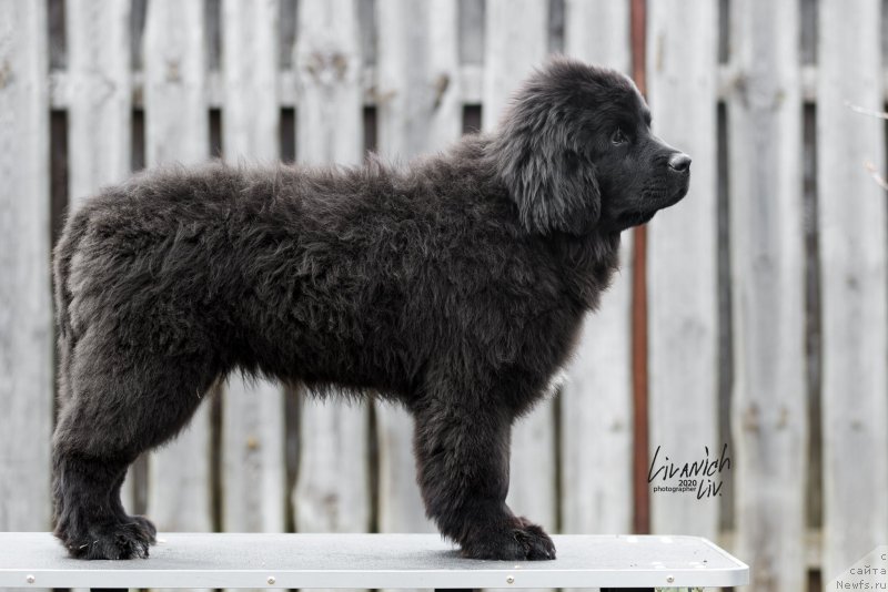 Фотография № 246822