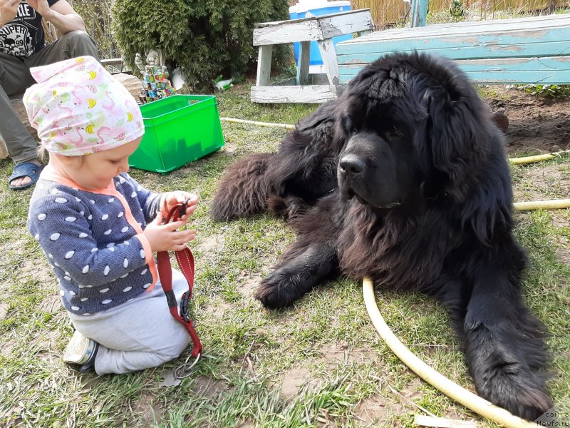 Фотография № 246828