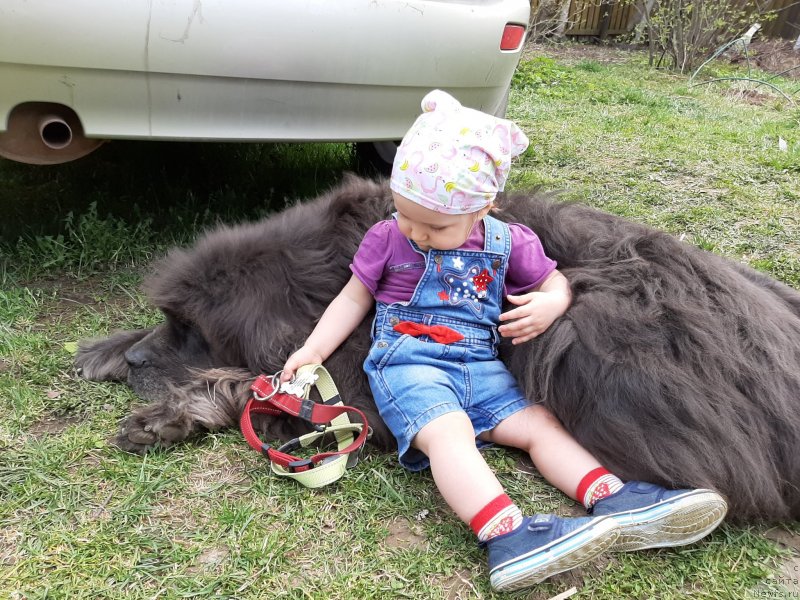 Фотография № 246833