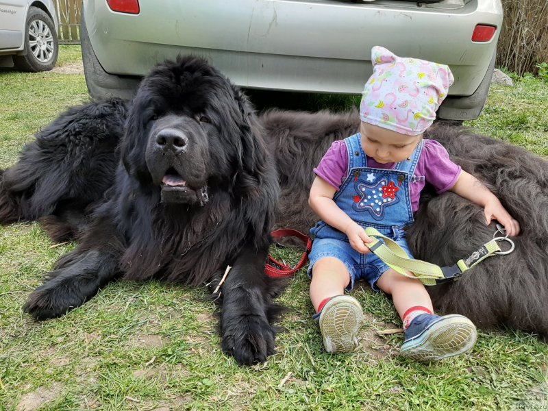 Фотография № 246835