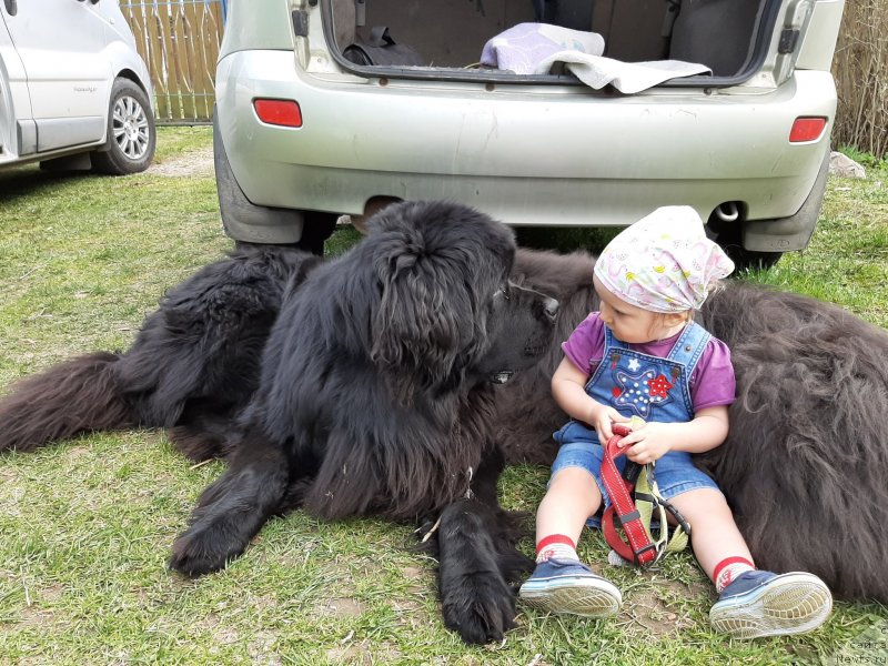 Фотография № 246836