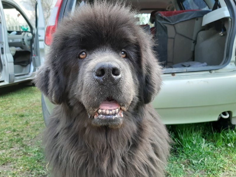 Фотография № 246838