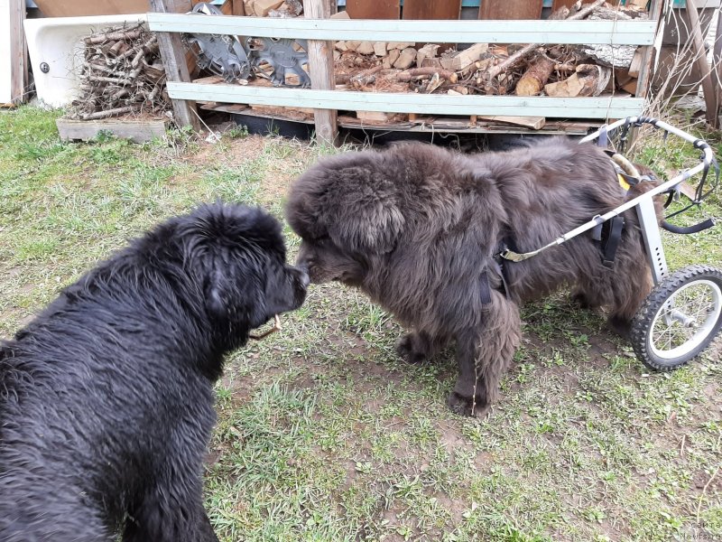 Фотография № 246842