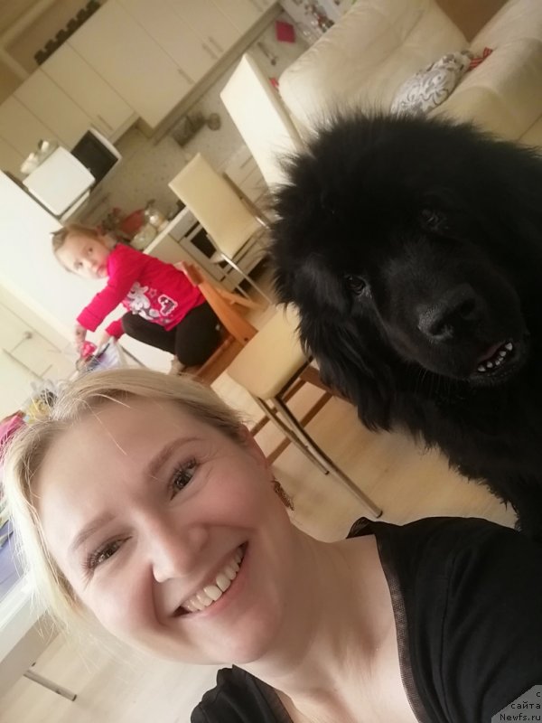 Фотография № 246851