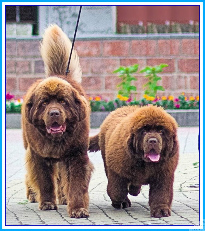 Фотография № 246855