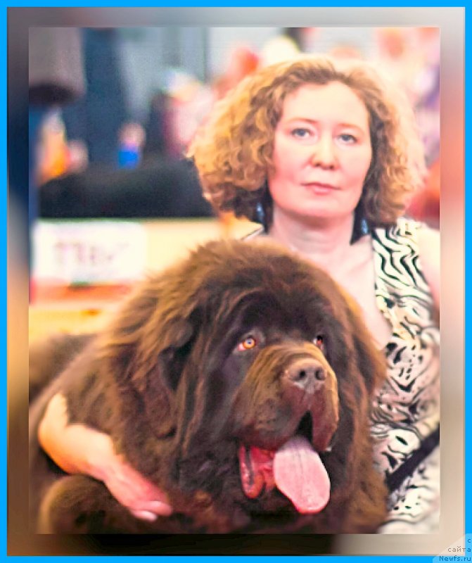 Фотография № 246856