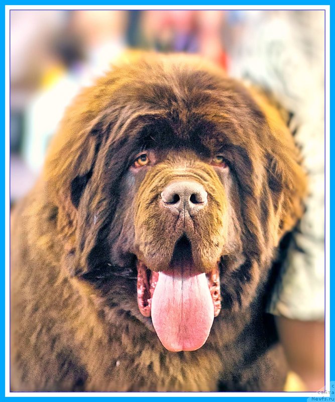 Фотография № 246857