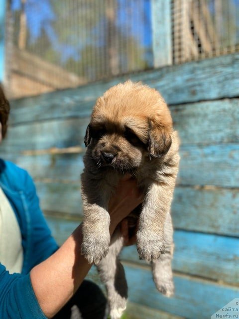 Фотография № 246873