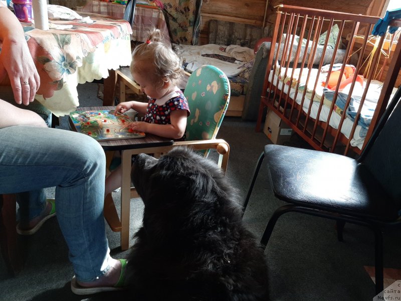 Фотография № 246877