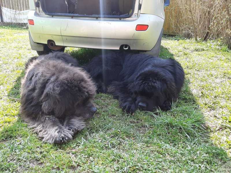 Фотография № 246880