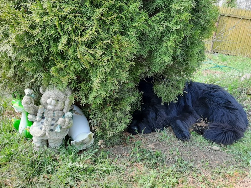 Фотография № 246881